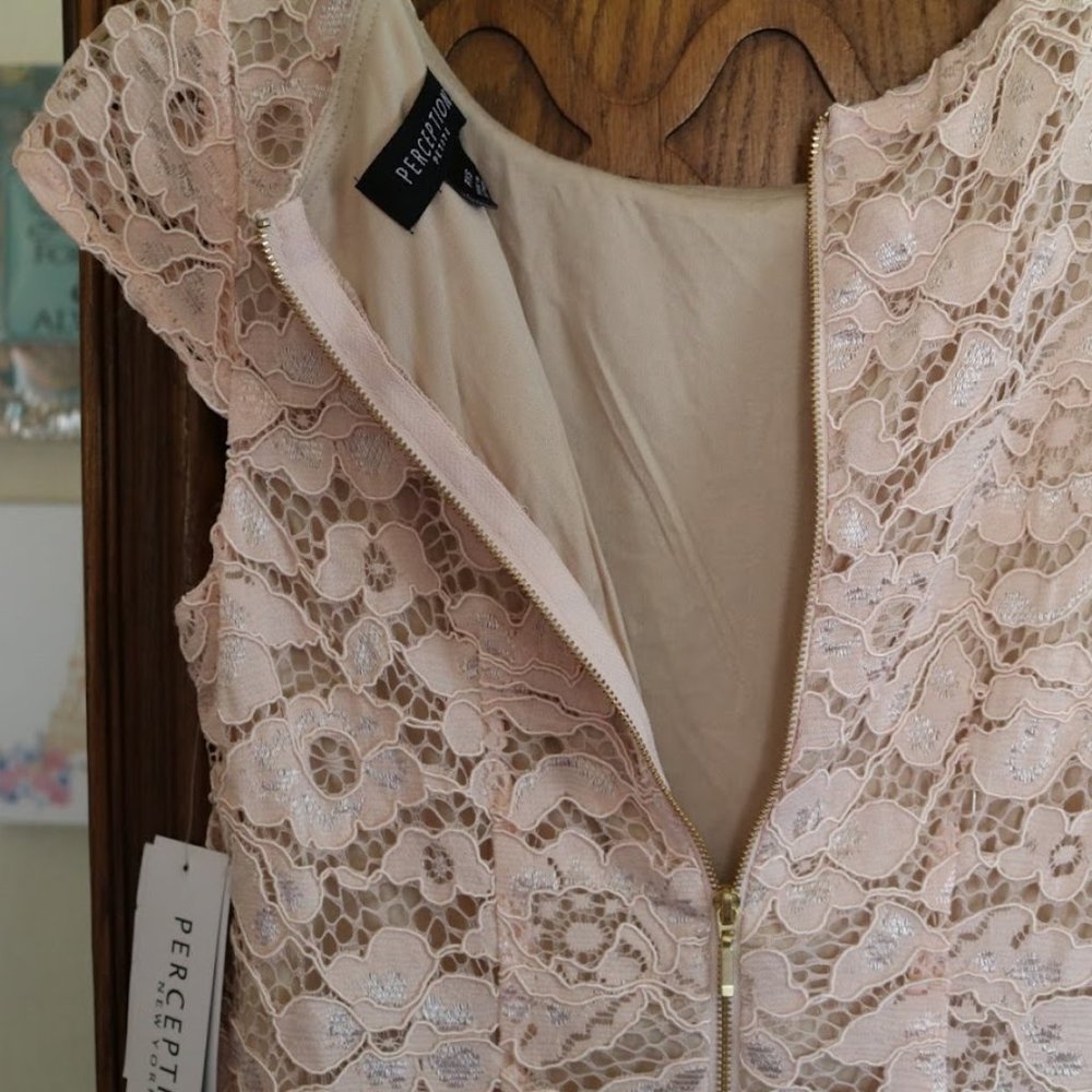 PERCEPTIONS New York Blush Nude Lace Sheath Dress - NWT! - Picture 9 of 16